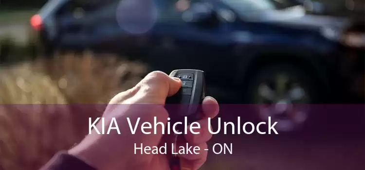 KIA Vehicle Unlock Head Lake - ON