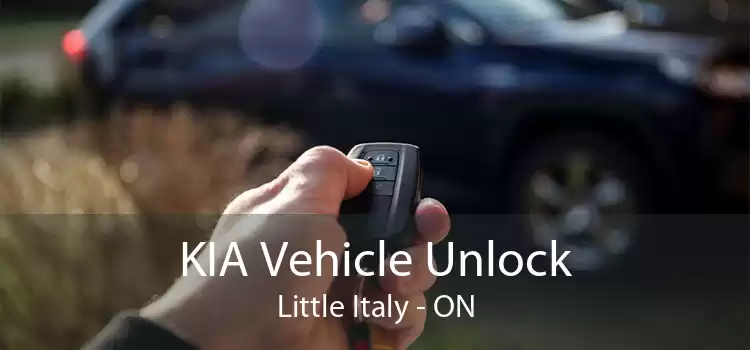 KIA Vehicle Unlock Little Italy - ON
