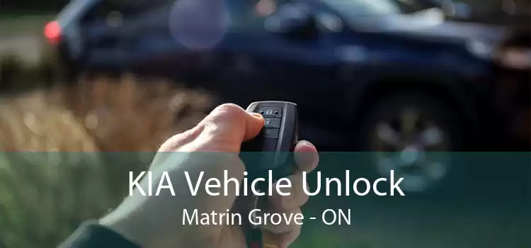 KIA Vehicle Unlock Matrin Grove - ON