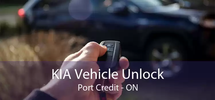 KIA Vehicle Unlock Port Credit - ON