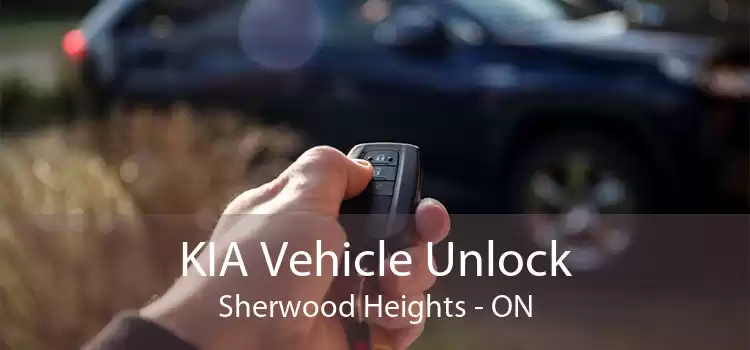 KIA Vehicle Unlock Sherwood Heights - ON