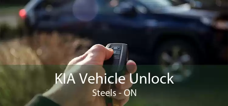 KIA Vehicle Unlock Steels - ON
