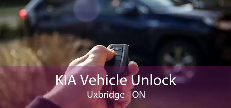 KIA Vehicle Unlock Uxbridge - ON
