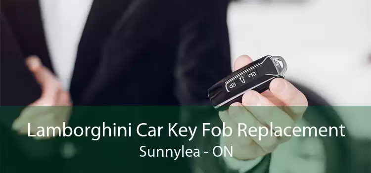 Lamborghini Car Key Fob Replacement Sunnylea - ON