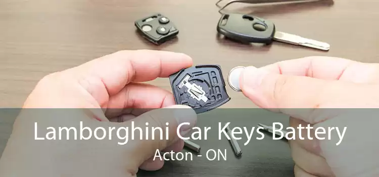 Lamborghini Car Keys Battery Acton - ON