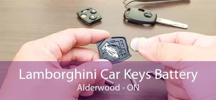 Lamborghini Car Keys Battery Alderwood - ON