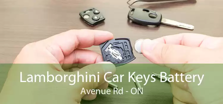 Lamborghini Car Keys Battery Avenue Rd - ON