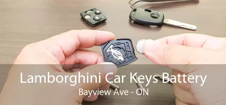 Lamborghini Car Keys Battery Bayview Ave - ON
