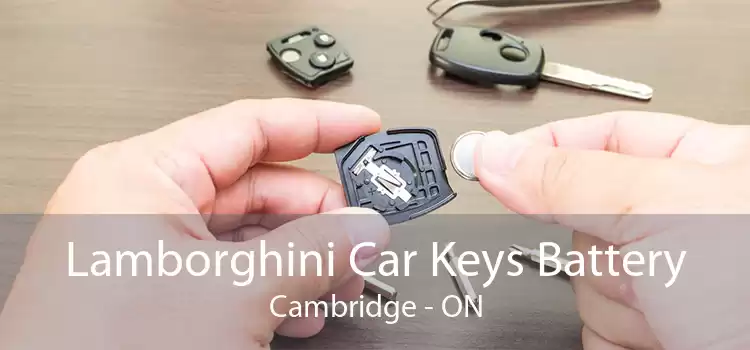 Lamborghini Car Keys Battery Cambridge - ON
