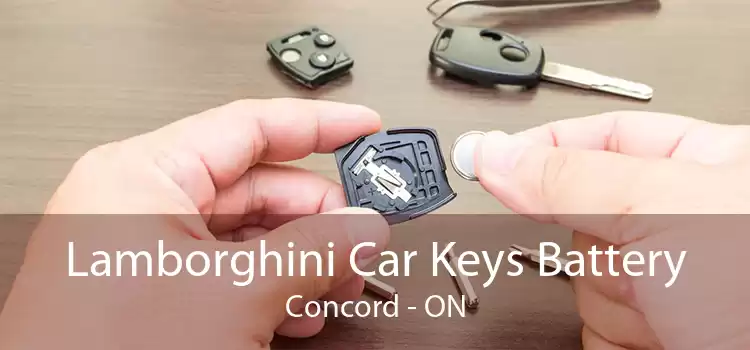 Lamborghini Car Keys Battery Concord - ON