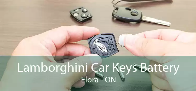 Lamborghini Car Keys Battery Elora - ON