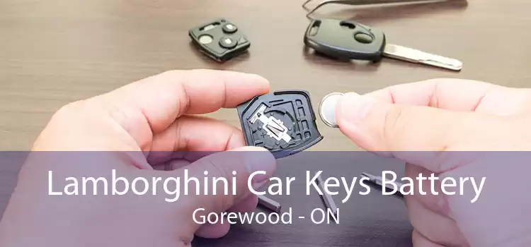Lamborghini Car Keys Battery Gorewood - ON