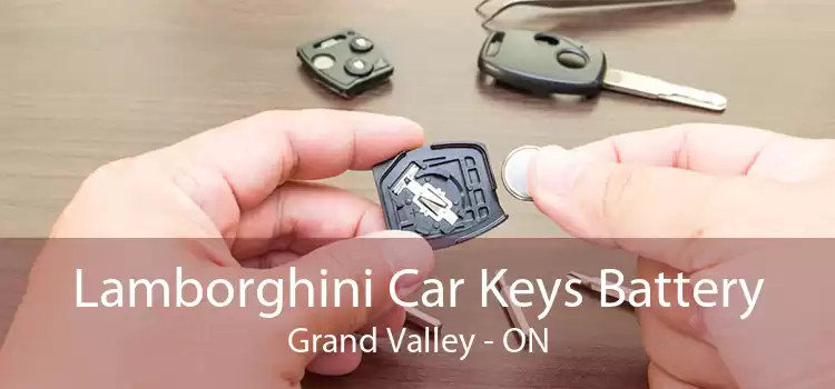 Lamborghini Car Keys Battery Grand Valley - ON