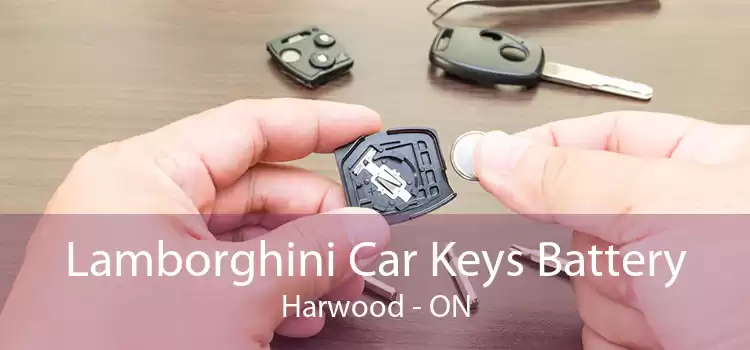 Lamborghini Car Keys Battery Harwood - ON