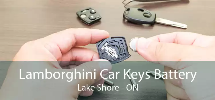 Lamborghini Car Keys Battery Lake Shore - ON