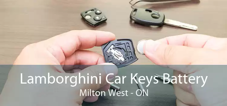 Lamborghini Car Keys Battery Milton West - ON