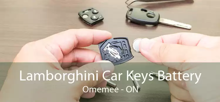 Lamborghini Car Keys Battery Omemee - ON