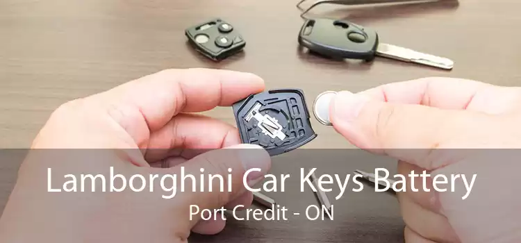 Lamborghini Car Keys Battery Port Credit - ON