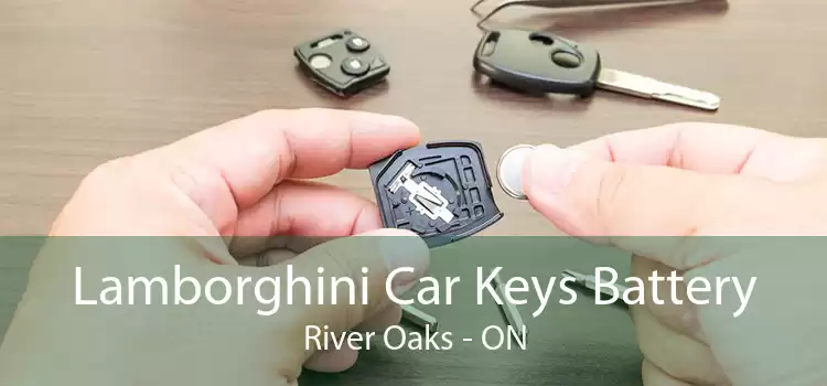 Lamborghini Car Keys Battery River Oaks - ON