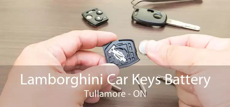 Lamborghini Car Keys Battery Tullamore - ON
