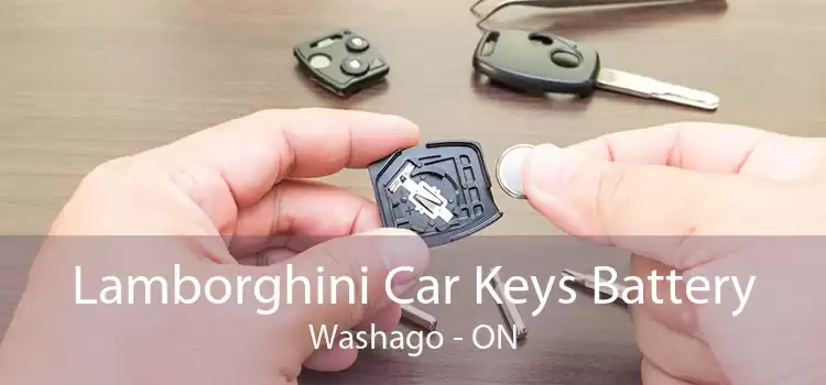 Lamborghini Car Keys Battery Washago - ON