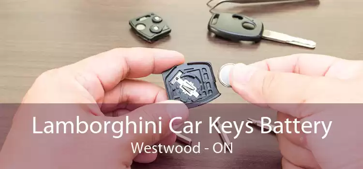 Lamborghini Car Keys Battery Westwood - ON