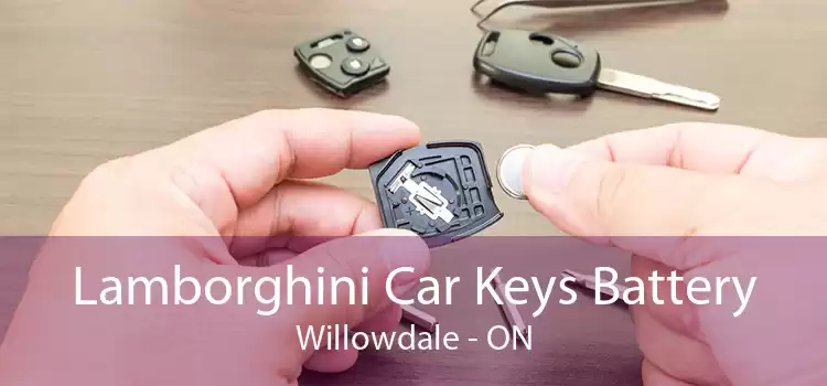 Lamborghini Car Keys Battery Willowdale - ON