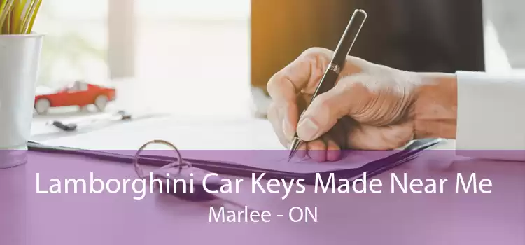 Lamborghini Car Keys Made Near Me Marlee - ON
