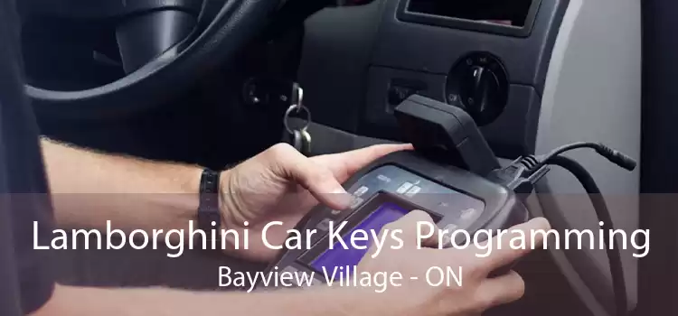 Lamborghini Car Keys Programming Bayview Village - ON