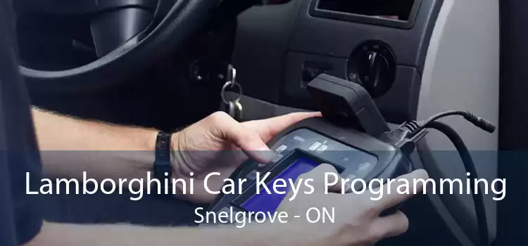 Lamborghini Car Keys Programming Snelgrove - ON