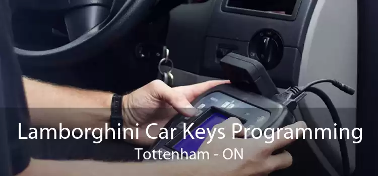 Lamborghini Car Keys Programming Tottenham - ON