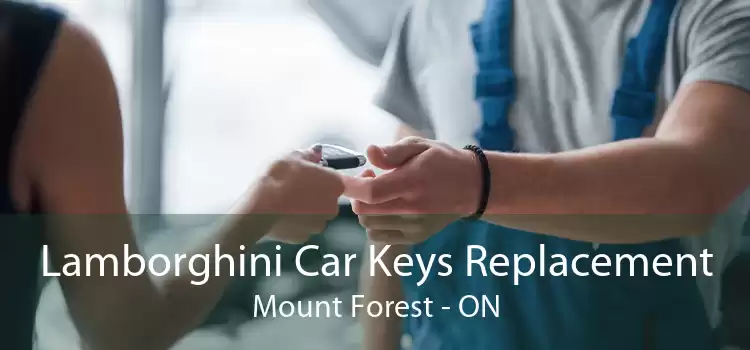 Lamborghini Car Keys Replacement Mount Forest - ON