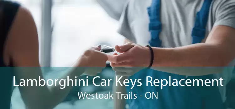 Lamborghini Car Keys Replacement Westoak Trails - ON
