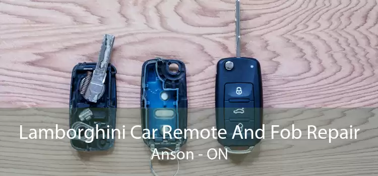 Lamborghini Car Remote And Fob Repair Anson - ON