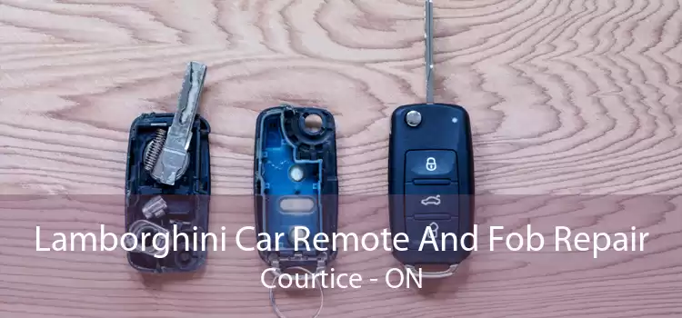 Lamborghini Car Remote And Fob Repair Courtice - ON