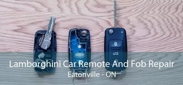 Lamborghini Car Remote And Fob Repair Eatonville - ON