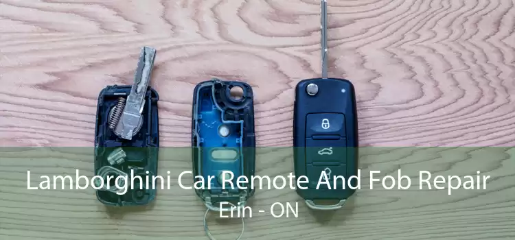 Lamborghini Car Remote And Fob Repair Erin - ON