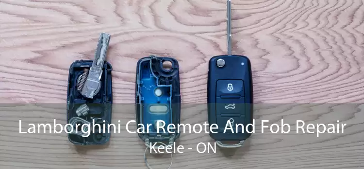 Lamborghini Car Remote And Fob Repair Keele - ON