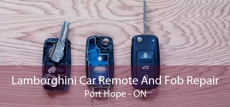 Lamborghini Car Remote And Fob Repair Port Hope - ON