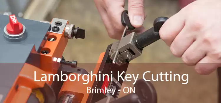 Lamborghini Key Cutting Brimley - ON
