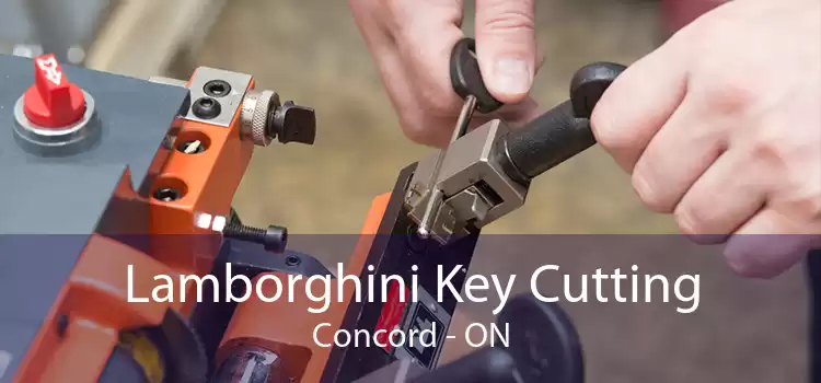 Lamborghini Key Cutting Concord - ON