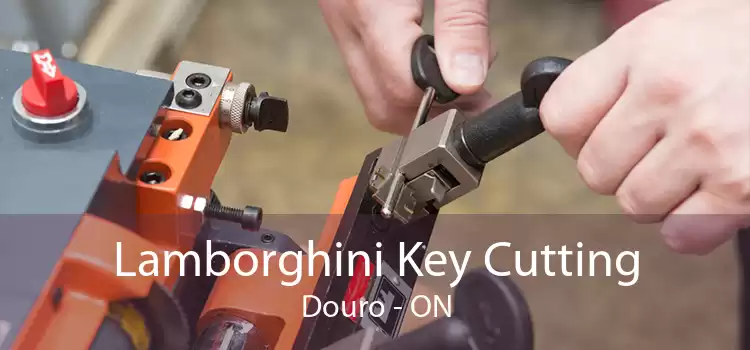Lamborghini Key Cutting Douro - ON