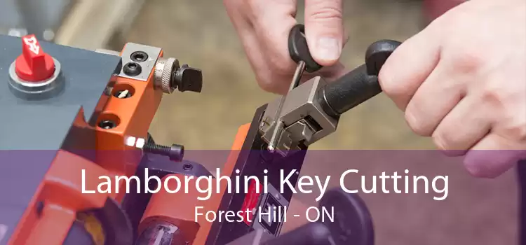Lamborghini Key Cutting Forest Hill - ON