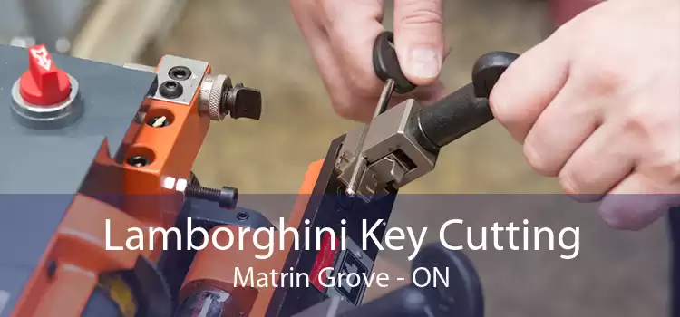 Lamborghini Key Cutting Matrin Grove - ON
