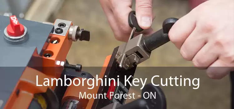 Lamborghini Key Cutting Mount Forest - ON