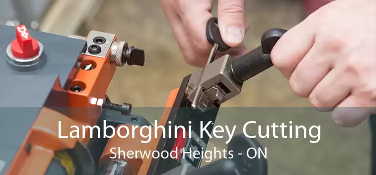 Lamborghini Key Cutting Sherwood Heights - ON