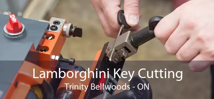Lamborghini Key Cutting Trinity - Bellwoods - ON