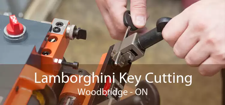 Lamborghini Key Cutting Woodbridge - ON