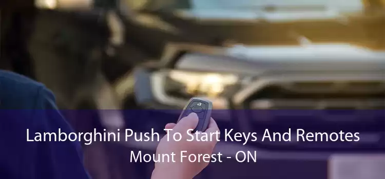 Lamborghini Push To Start Keys And Remotes Mount Forest - ON