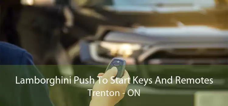 Lamborghini Push To Start Keys And Remotes Trenton - ON
